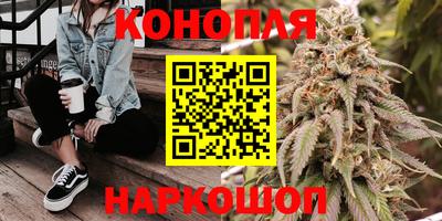 гашик Пенза